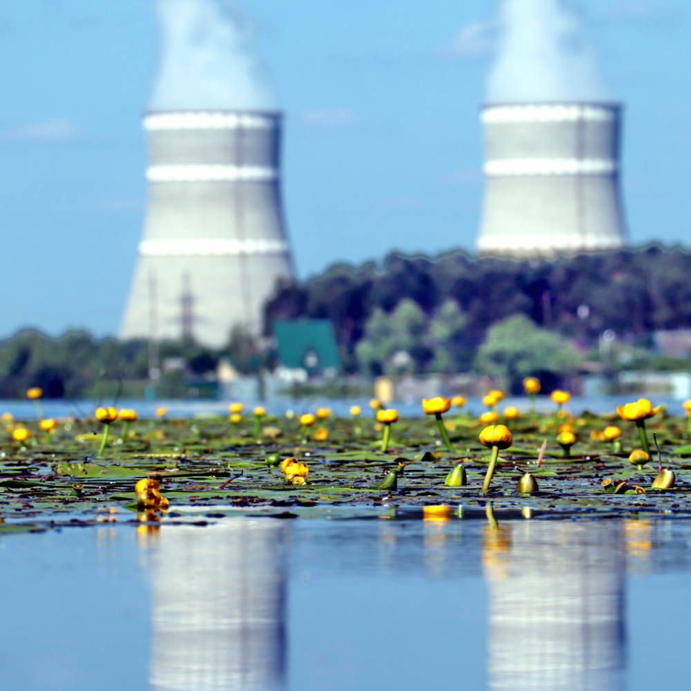 Диалог с площадки: «Вест-Инжиниринг» готовит робототехнические решения для Калининской АЭС